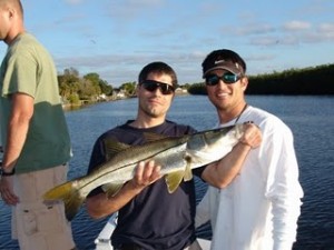Tampa Bay Snook Fishing in the Little Manatee River
