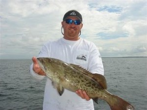 Tampa bay Grouper Fishing