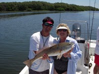 Tampa Bay fishing for Redfish