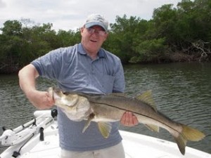 Snook fishing Tampa Bay