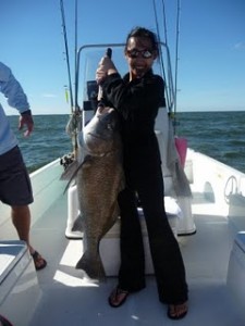 Tampa Fishing Guide put client on Big Blackdrum