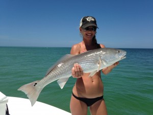 Tampa Bay Redfish – Tampa Fishing Charters