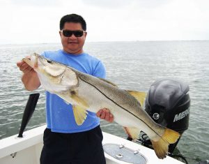 Angler holding a snook